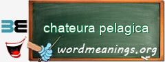 WordMeaning blackboard for chateura pelagica